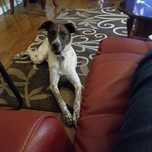 Meet your Posher, Lula